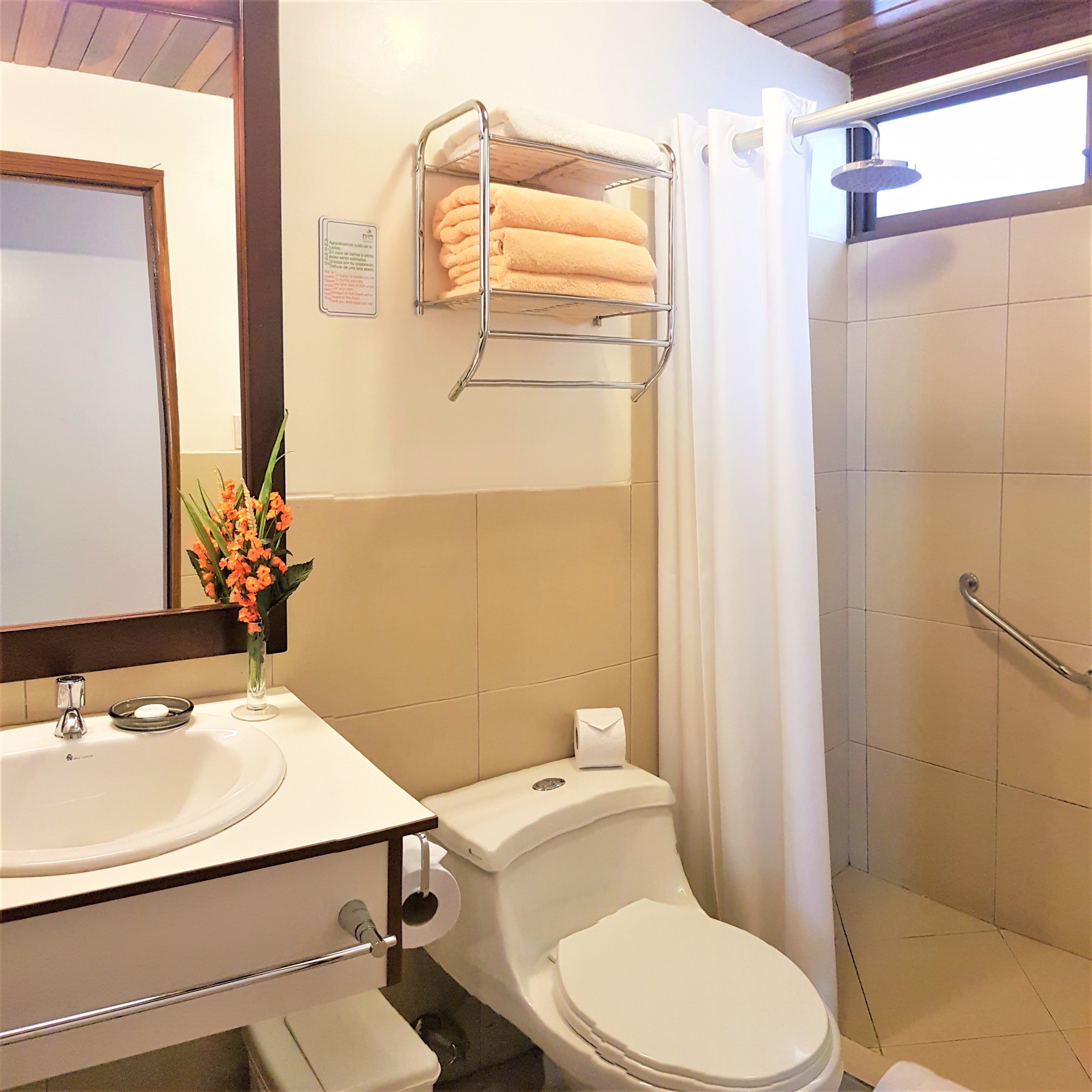 shower, free toiletries, hair dryer, towels