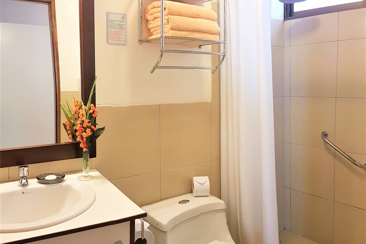 shower, free toiletries, hair dryer, towels
