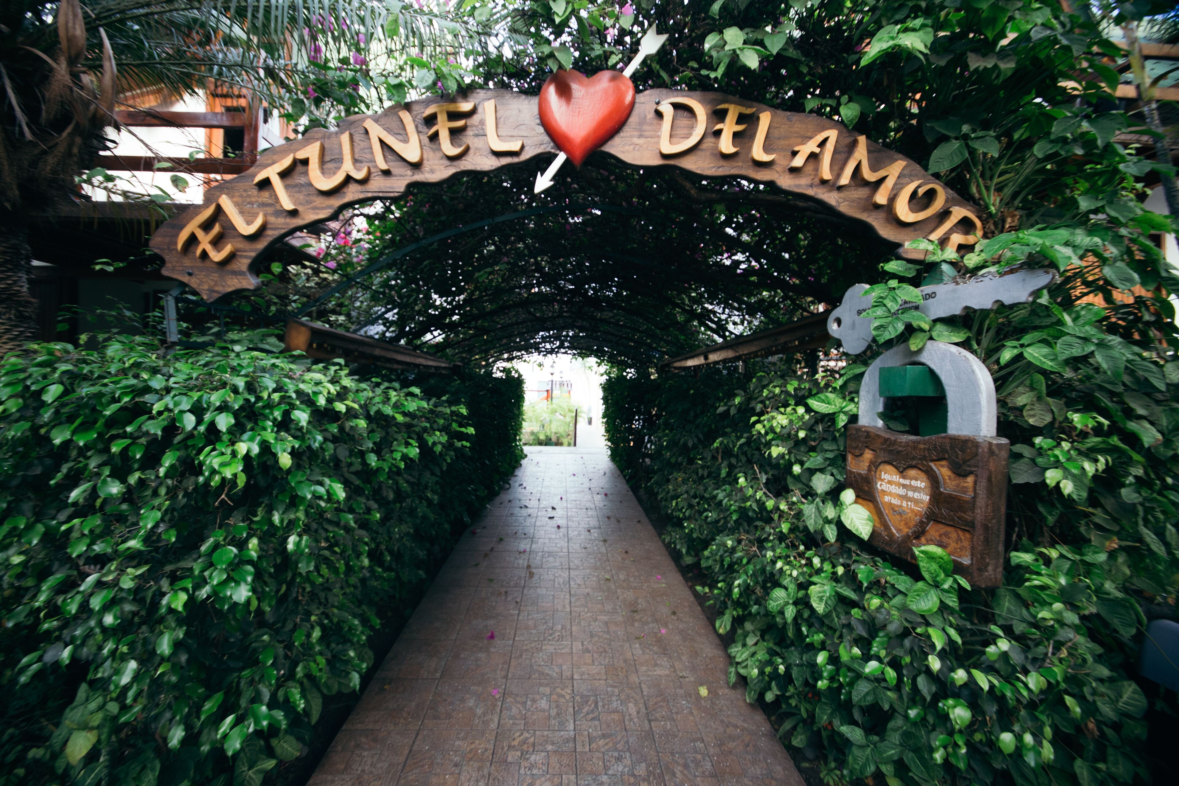 Foto - Hotel Balandra