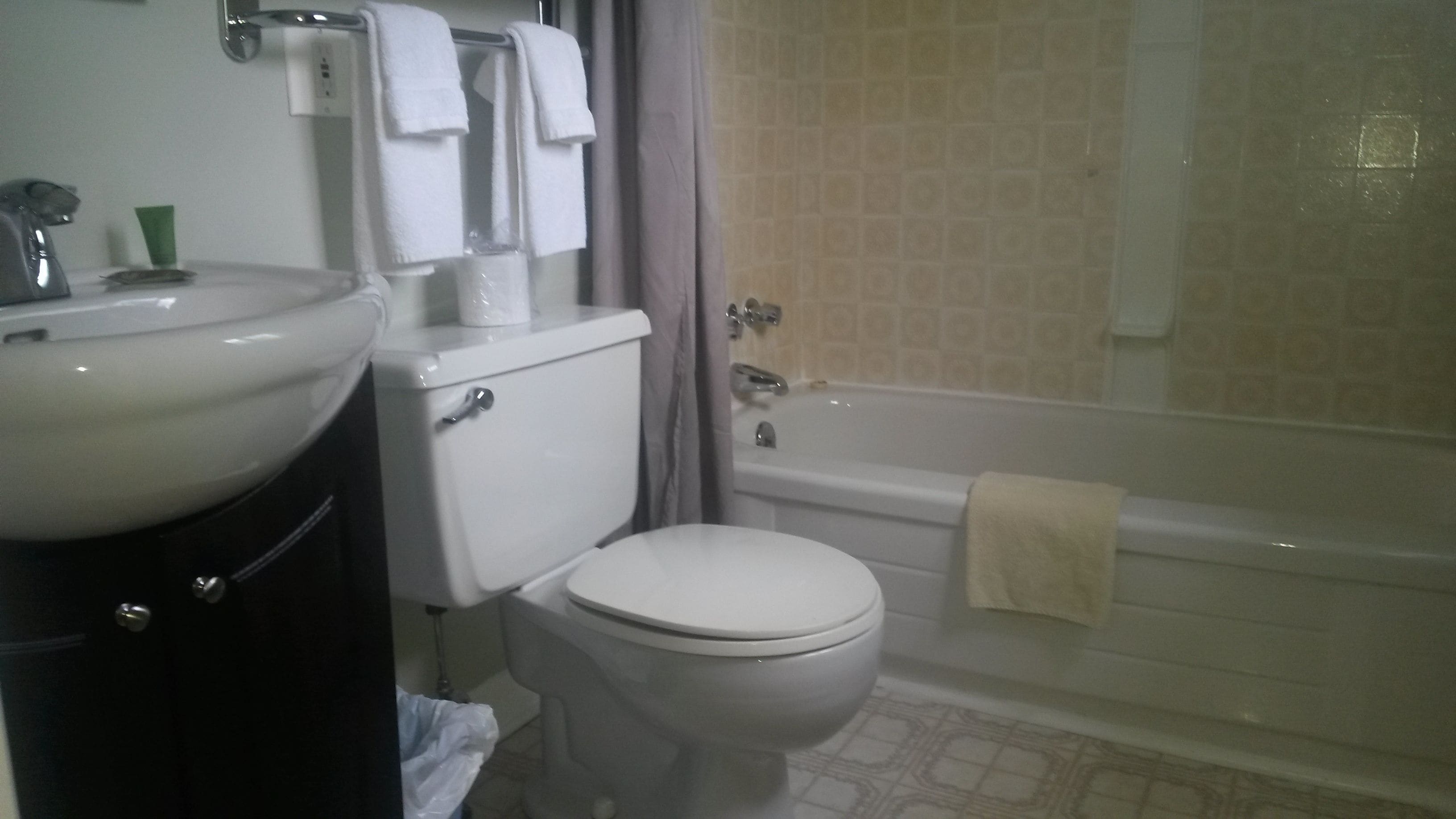Une salle de bain avec des toilettes, un lavabo et une baignoire.