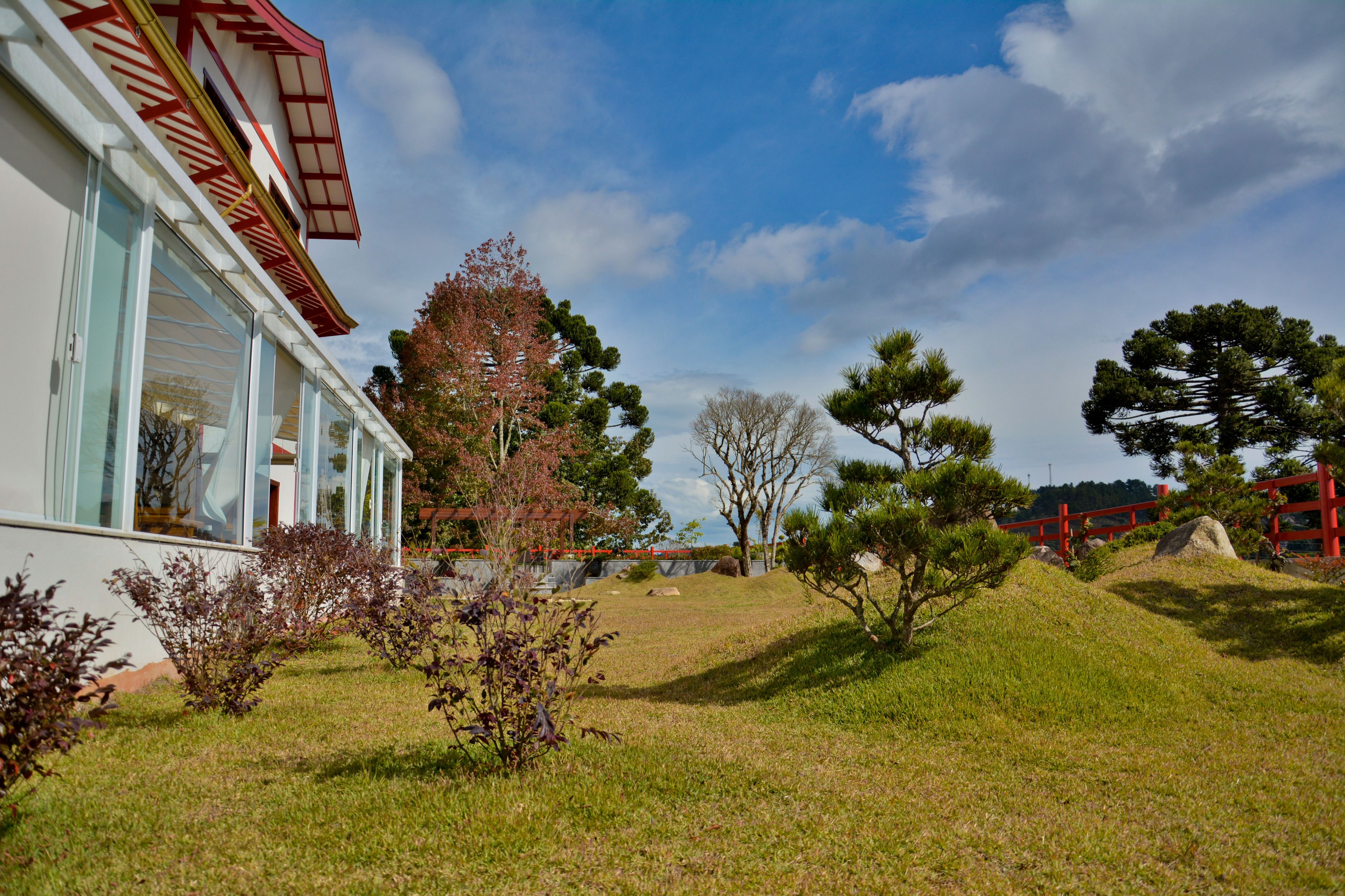 Foto - Matsubara Pousada