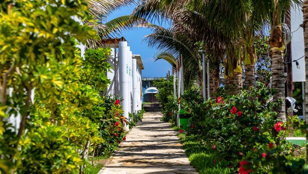 Un camino bordeado de exuberante vegetación y palmeras que conduce a un edificio con una estructura en forma de cúpula.