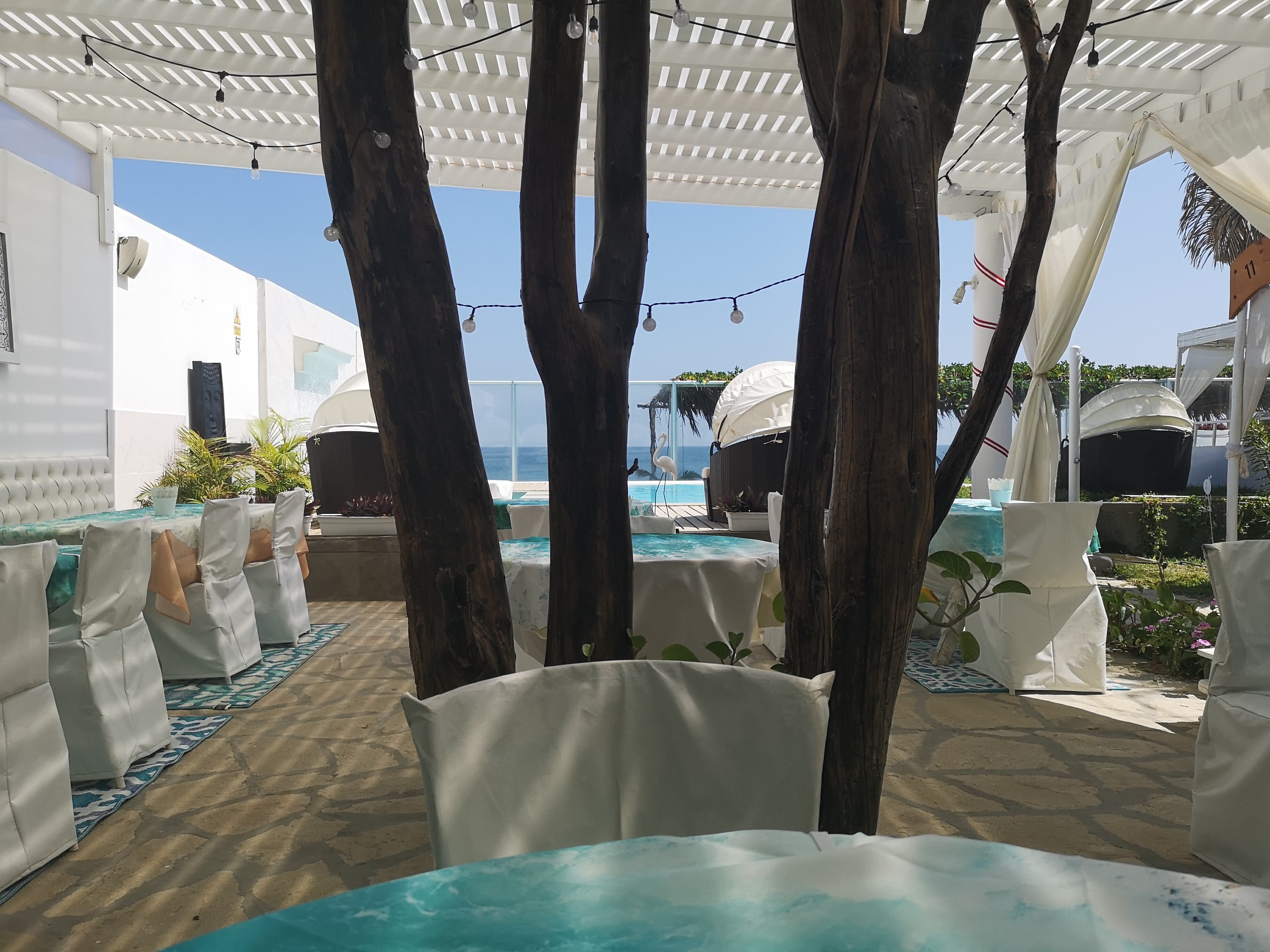 An outdoor pool area with white chairs and tables, surrounded by trees and a white pergola with string lights.