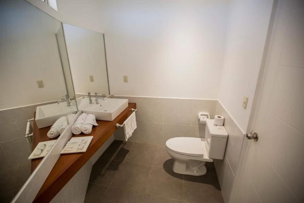 deluxe suite, jetted tub | bathroom | shower, free toiletries, towels, shampoo