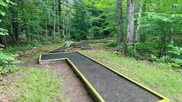 Mini-golf