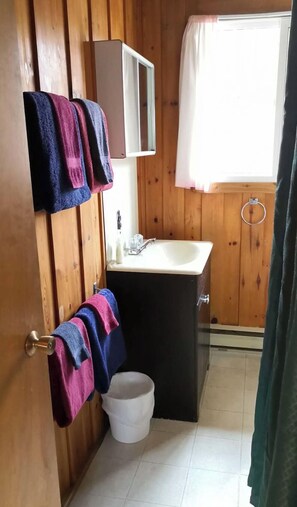 Bañera con ducha, artículos de tocador gratuitos, secador de pelo