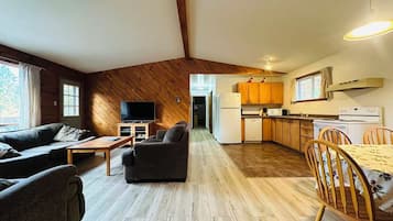 Fireplace, DVD player