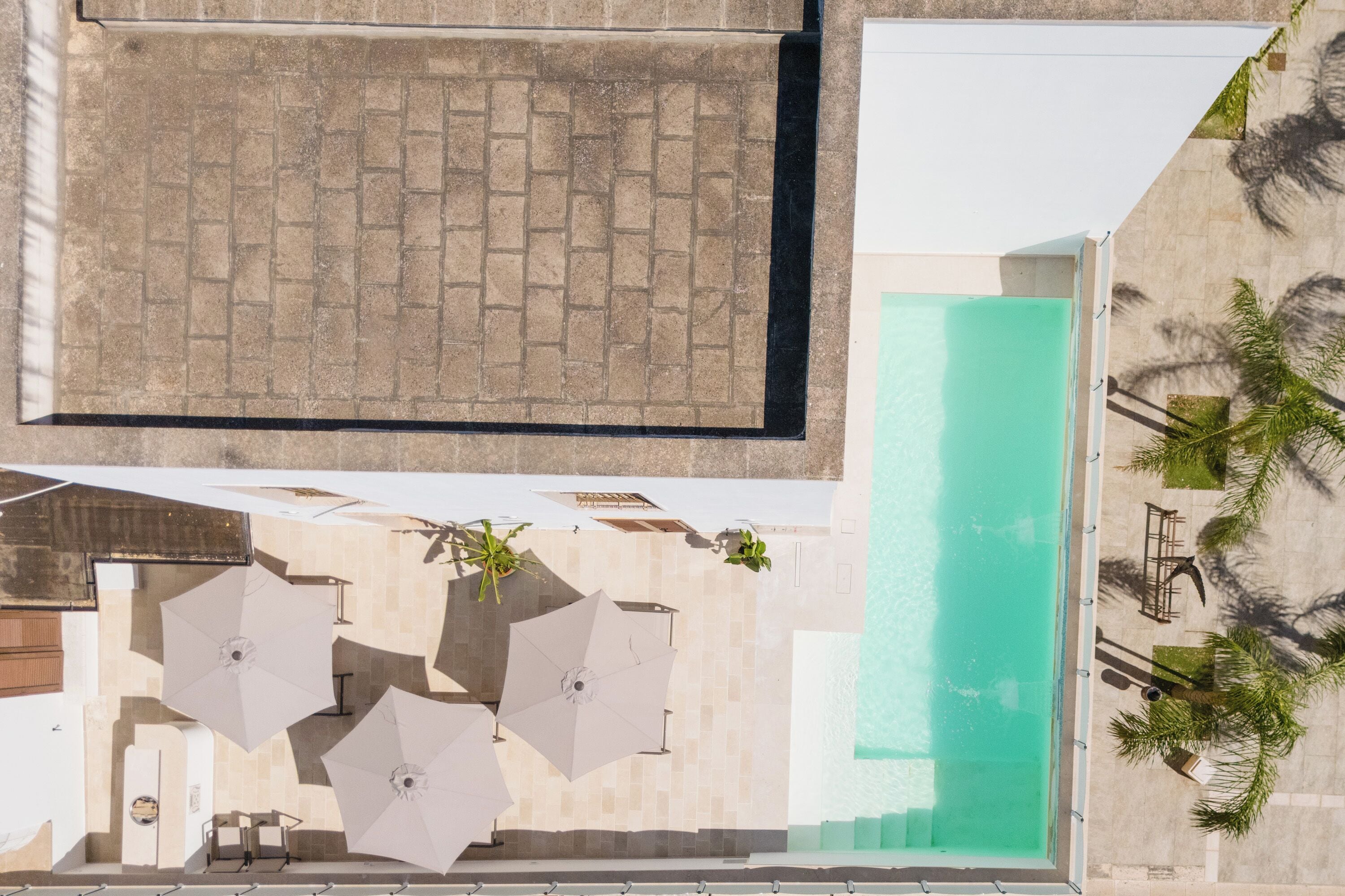 A rooftop pool with a tiled deck, umbrellas, and palm trees.