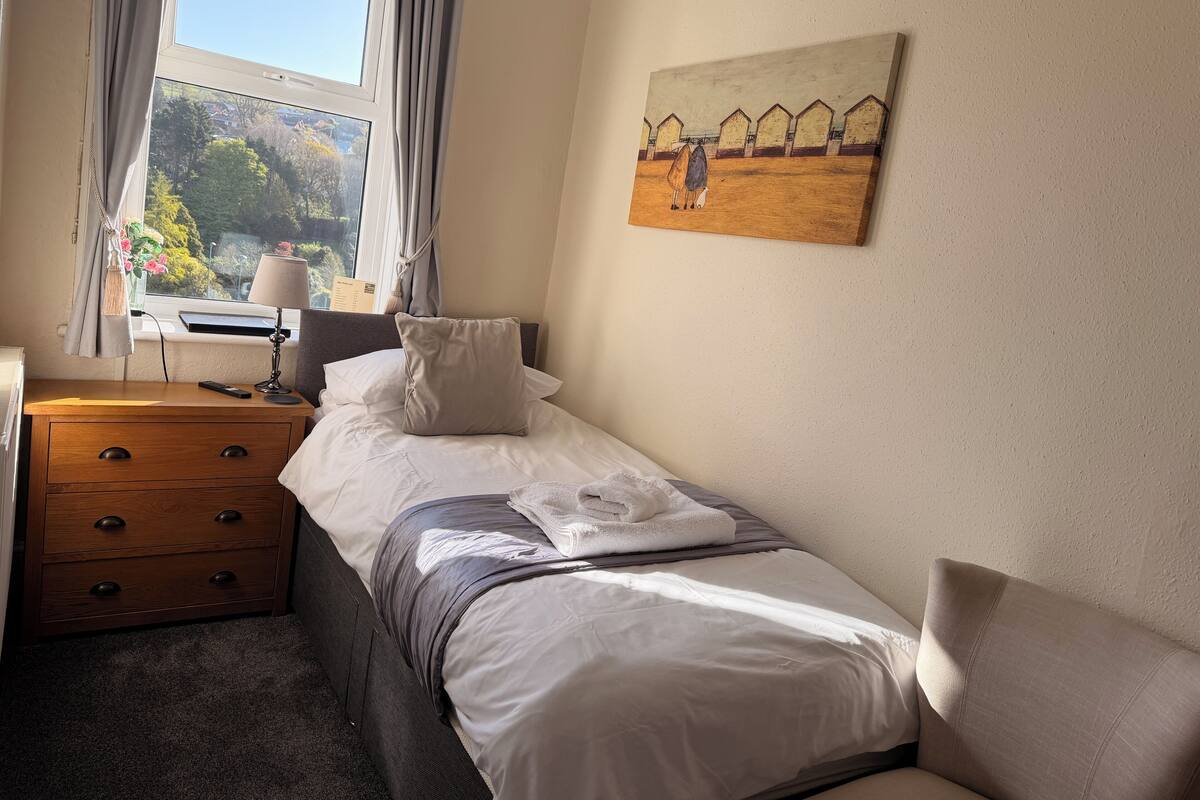 Economy Single Room (1st Floor) | Laptop workspace, iron/ironing board, individually decorated