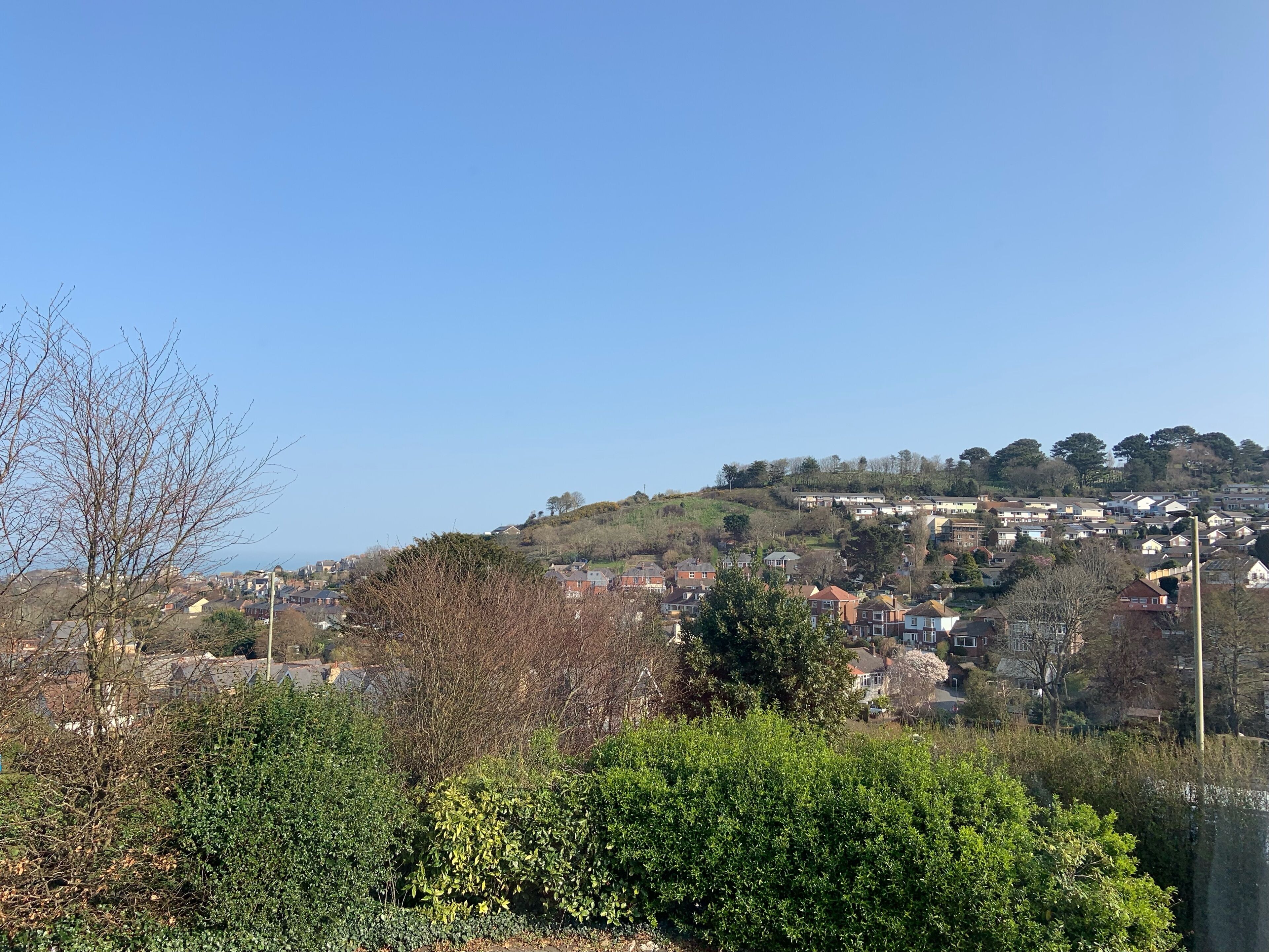 Un barrio residencial en una ladera, con casas y algo de vegetación en primer plano.