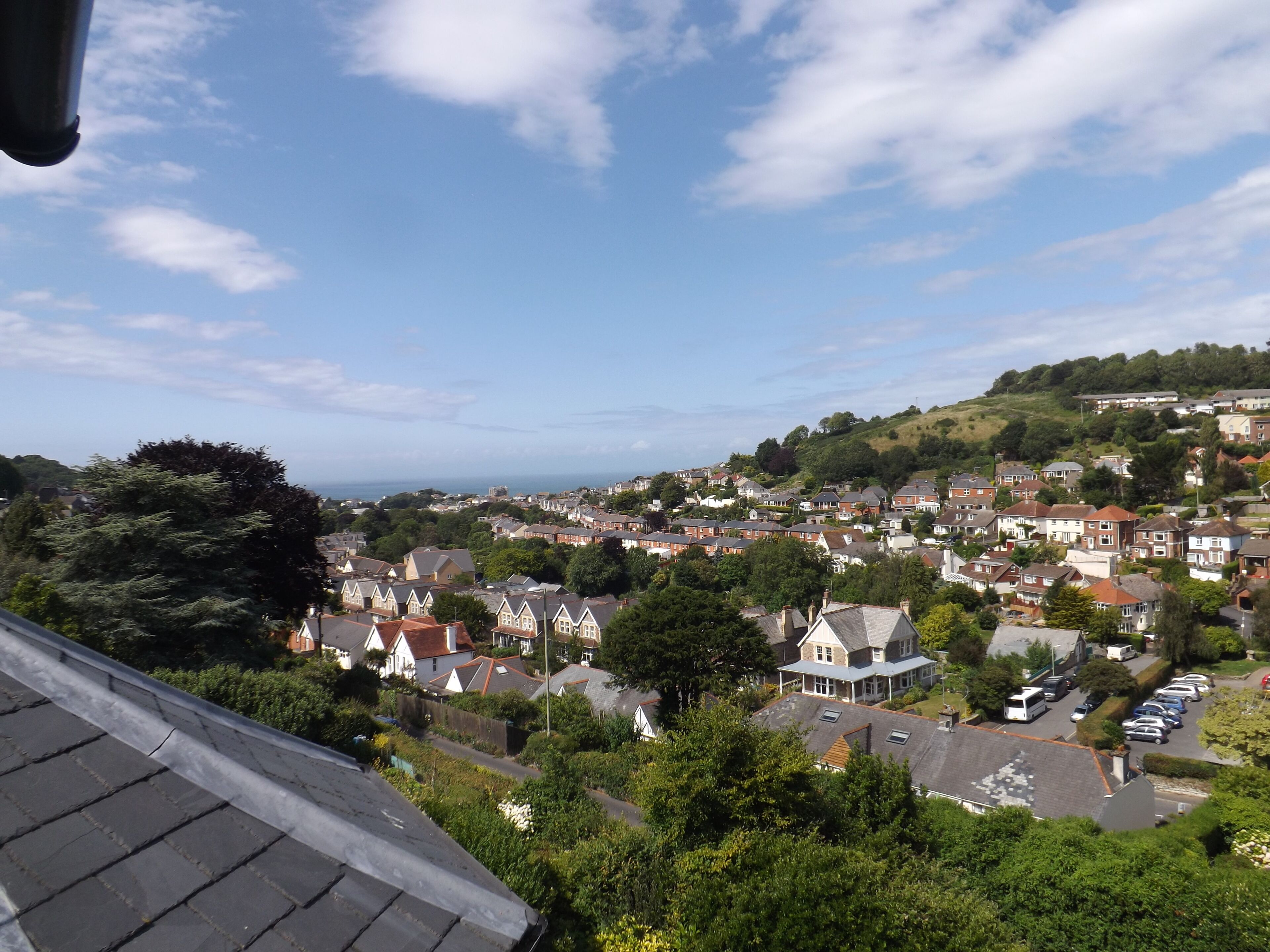 A residential area with houses, trees, and a view of the sea.