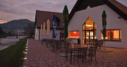 Hotel Vír