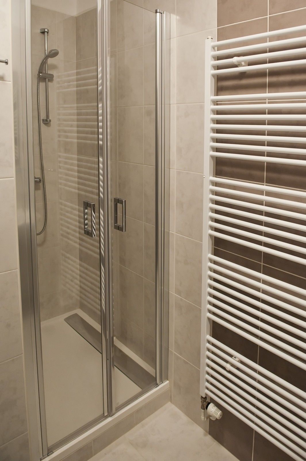 A glass-enclosed shower area with a handheld showerhead, a control panel, and a white towel rack.