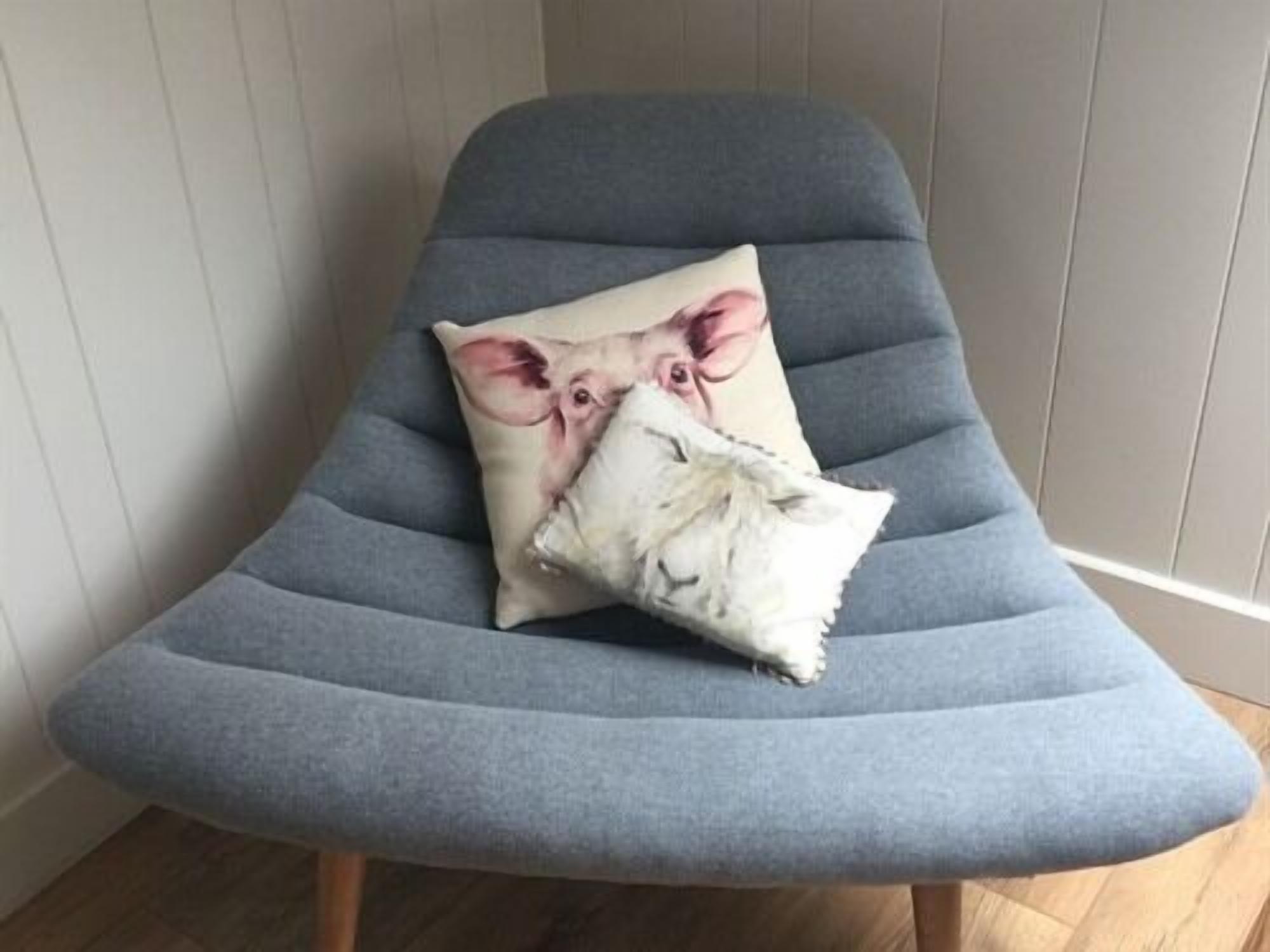 deluxe double or twin room, ensuite | miscellaneous