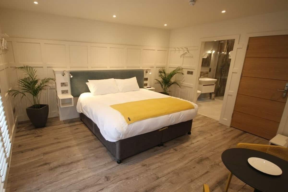 A modern bedroom with a large bed, bedside tables, a bedside plant, and a wooden floor.