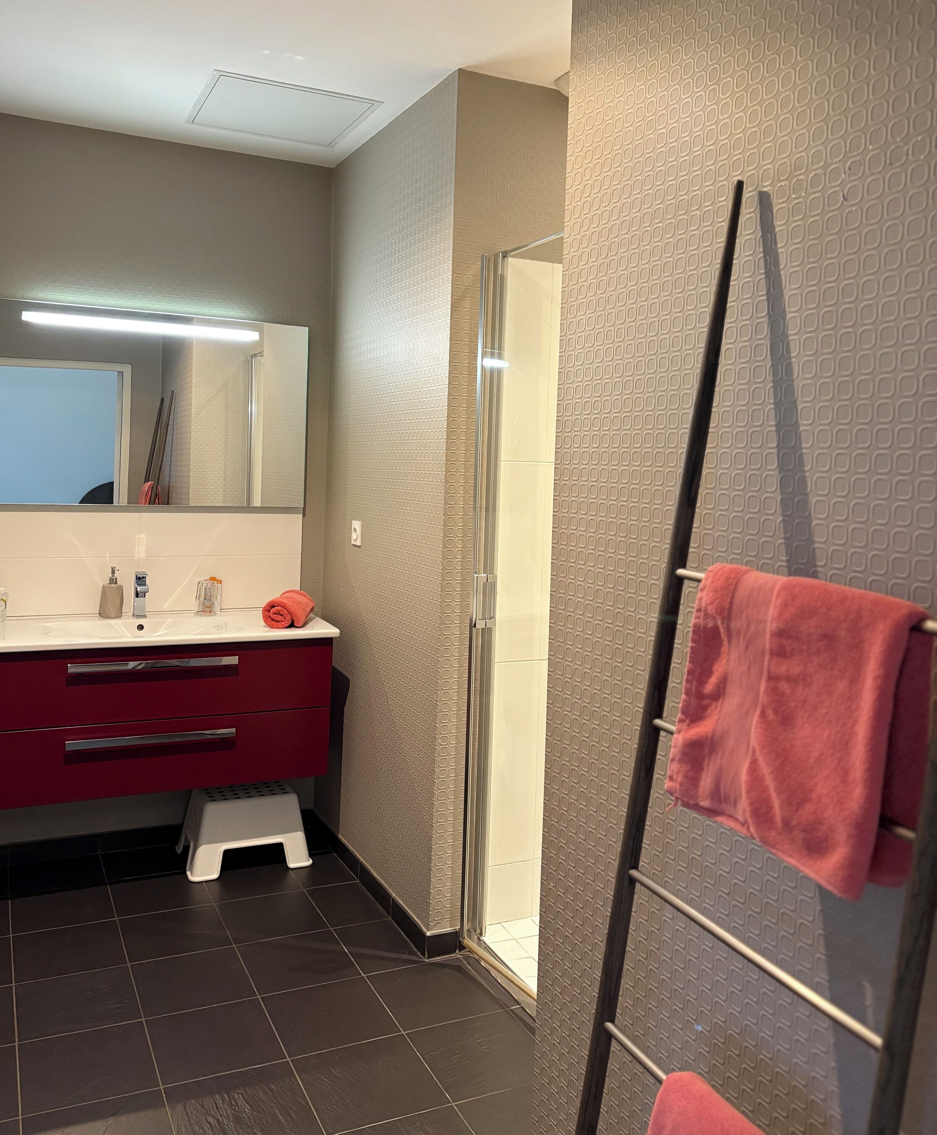 A modern bathroom with a glass shower, a red towel rack, and a vanity with a mirror and sink.
