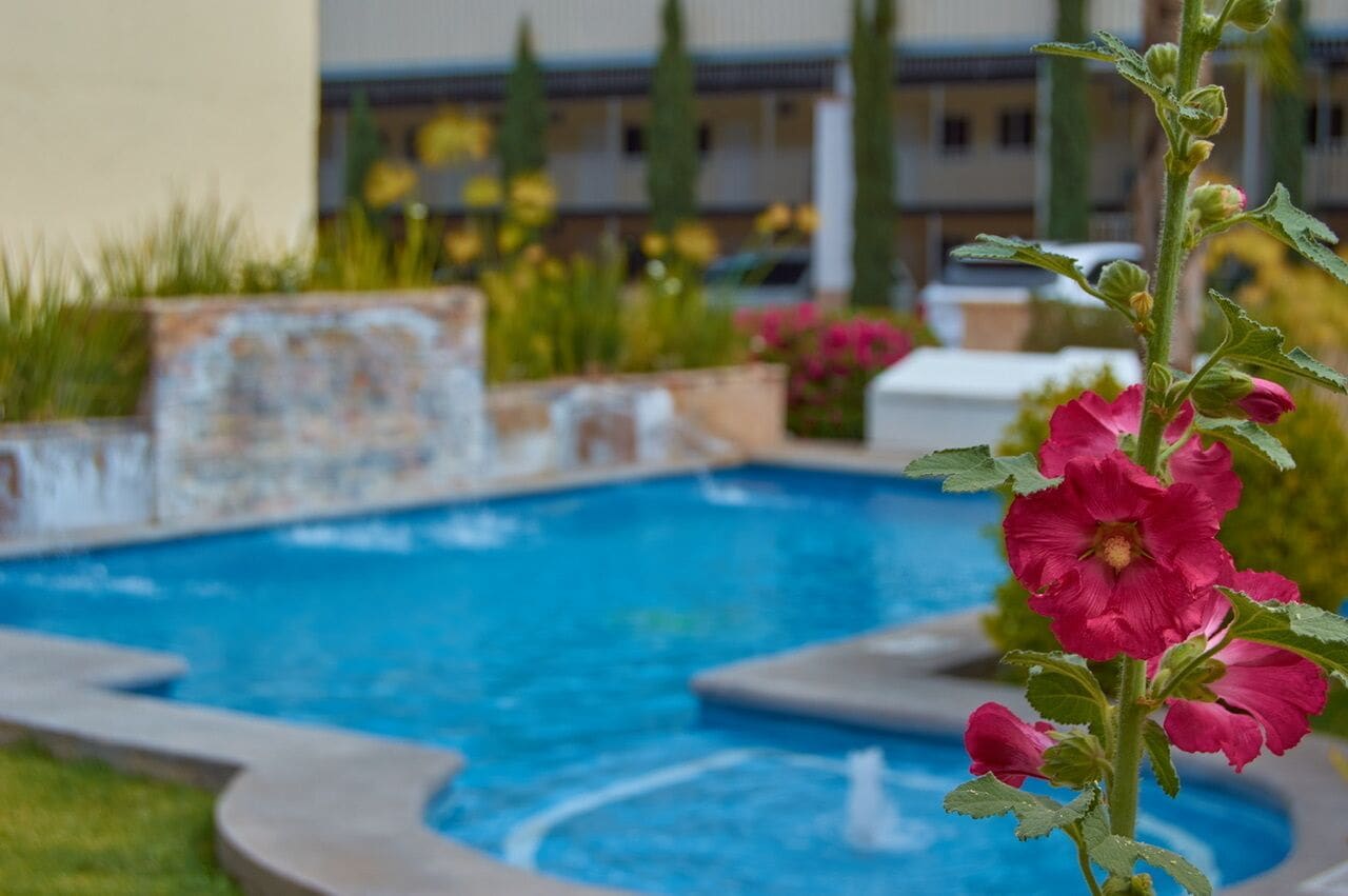 Photo - Hotel del Alba Inn & Suites