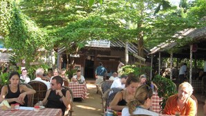 An outdoor restaurant with tables covered by checkered tablecloths, surrounded by trees and a rustic building with a sign reading "JACK'S ROOMS." - Jickys Nest (Varkala)