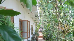 A narrow pathway flanked by potted plants and a building with wooden doors and windows. - Jickys Nest (Varkala)