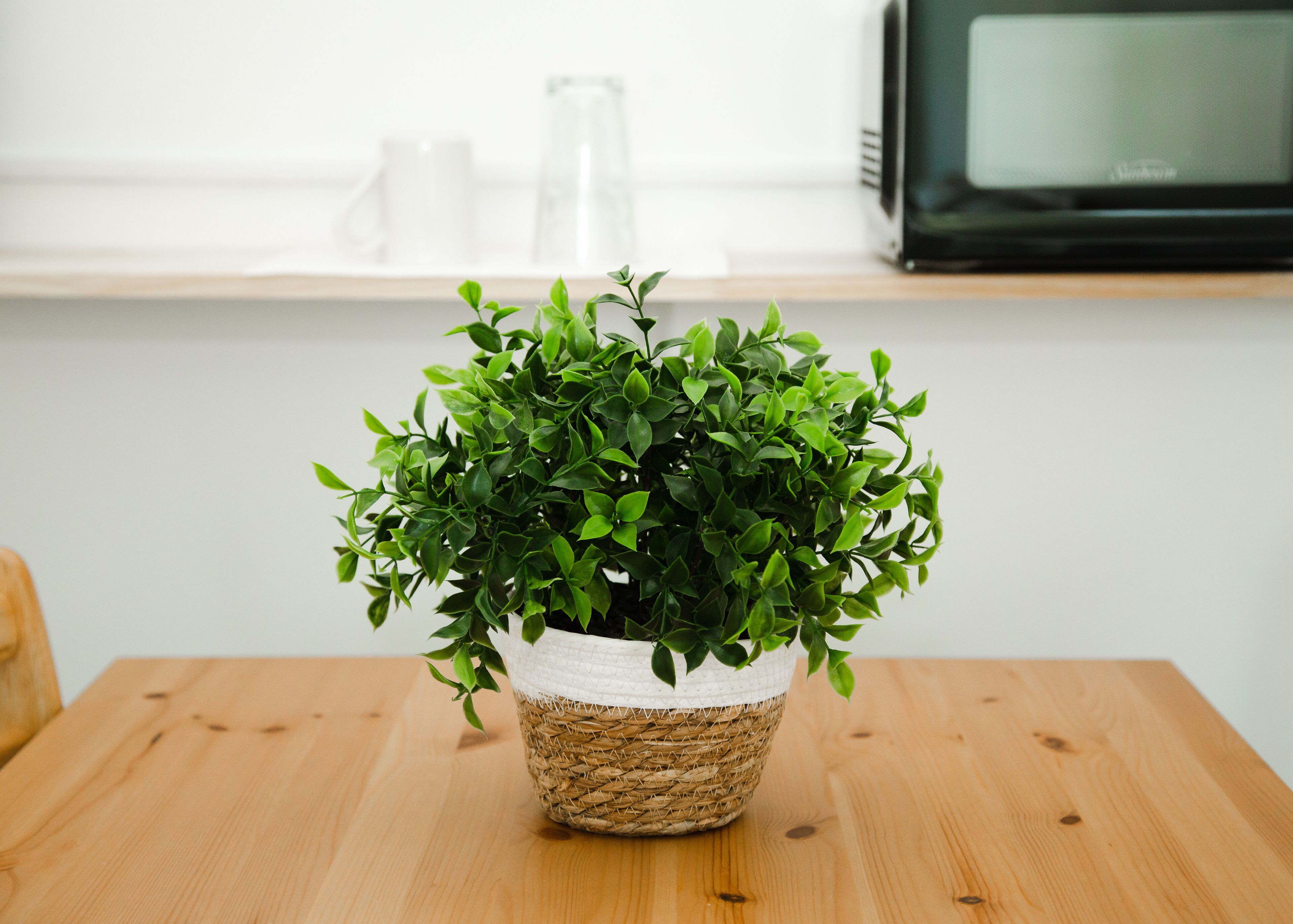 basic room | interior detail