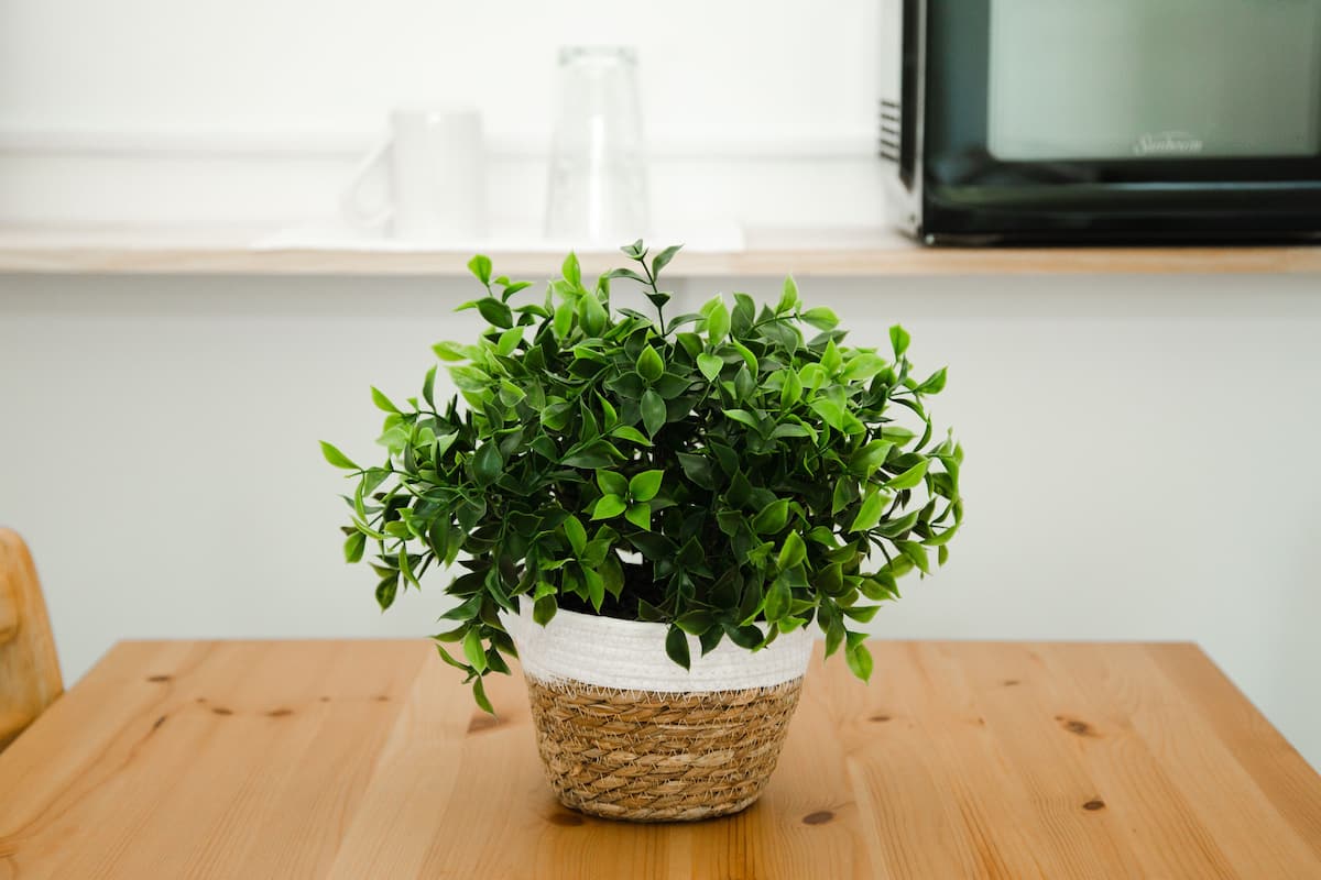 basic room | interior detail