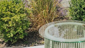 A garden with various plants and a glass table. - Naramata Courtyard Suites (Naramata)