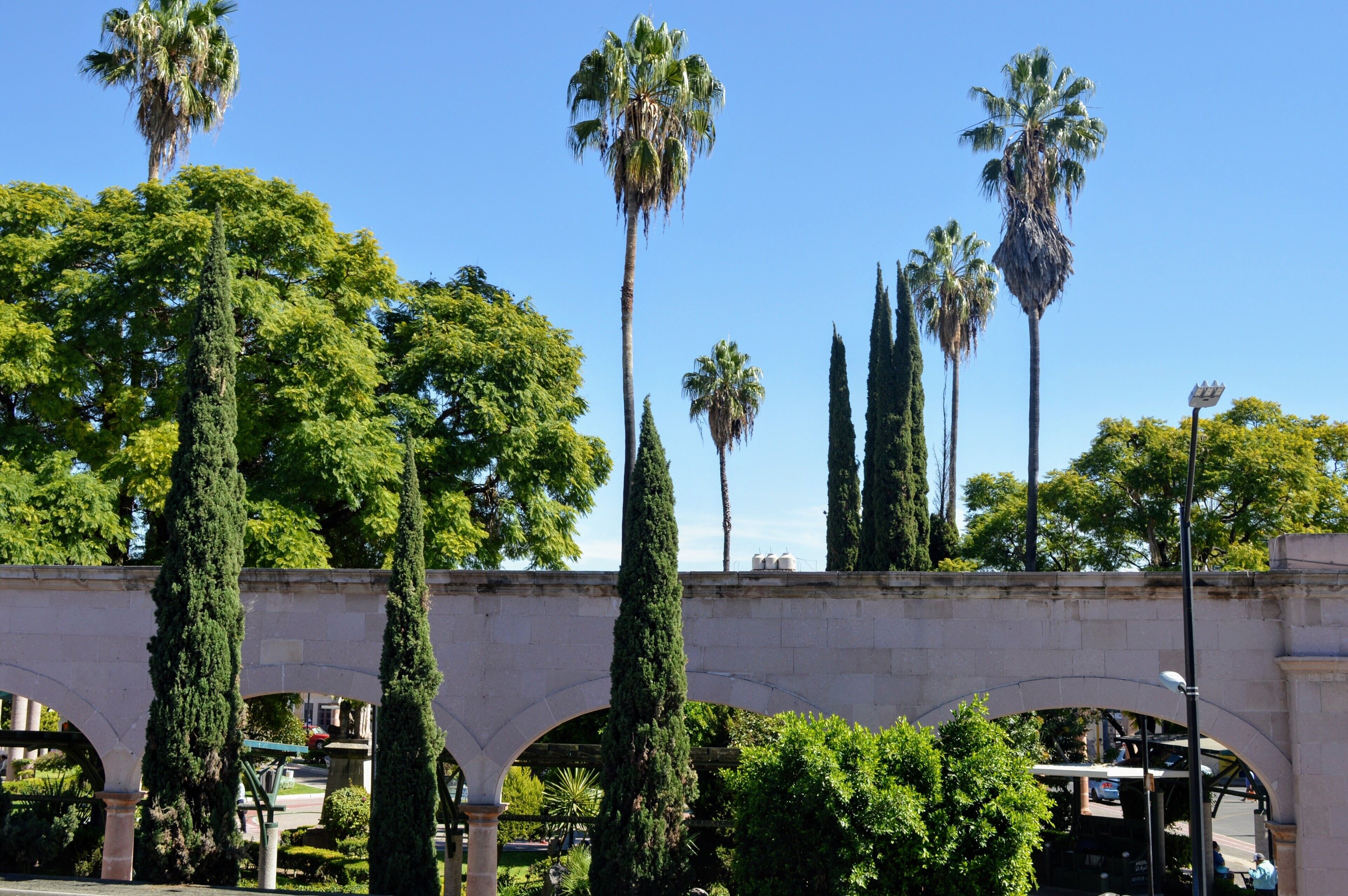 Photo - Hotel Colonial