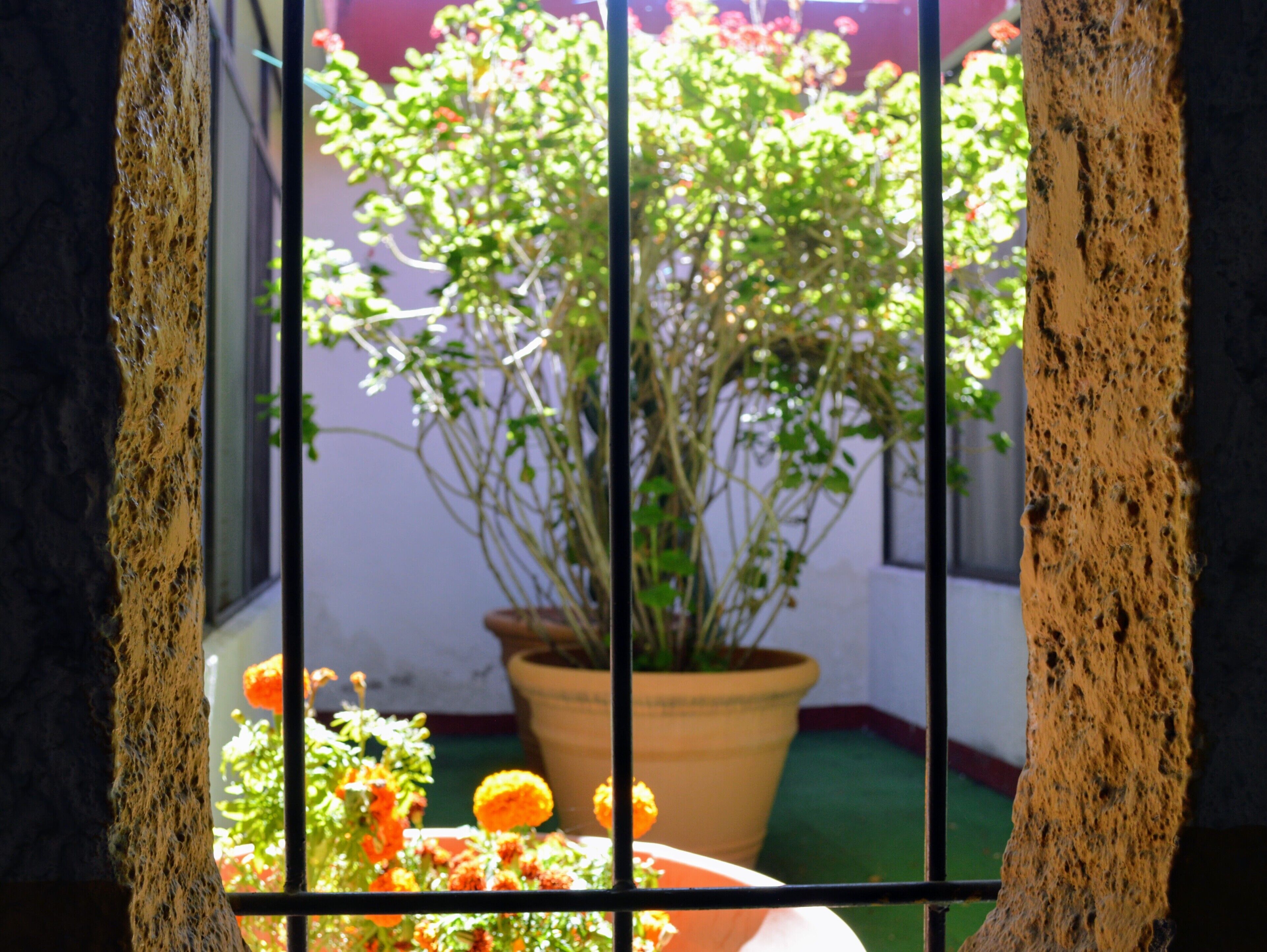 Photo - Hotel Colonial