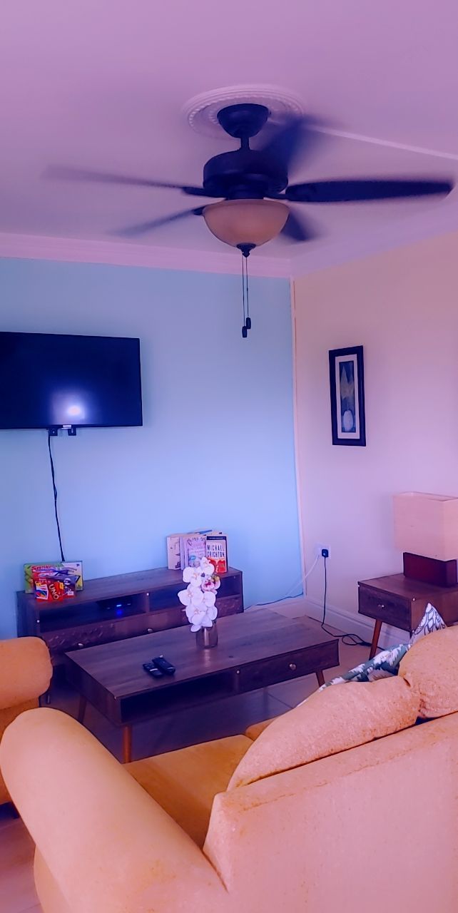 Un soggiorno con ventilatore a soffitto, televisore a schermo piatto, tavolino da caffè con un vaso di fiori e un divano.