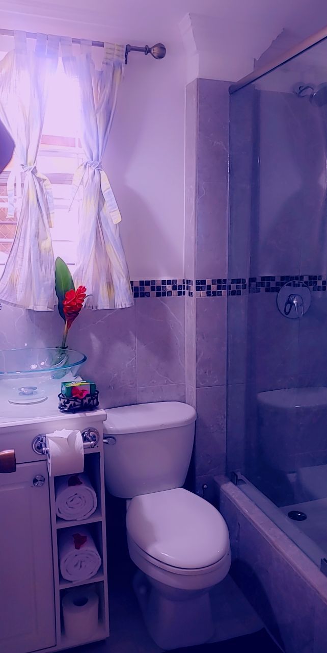 Um banheiro com vaso sanitário, pia de vidro, chuveiro e porta-toalhas.