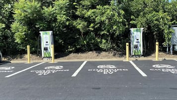 Un espace de stationnement équipé de bornes de recharge pour véhicules électriques, avec des emplacements clairement délimités et un décor de feuillage dense en arrière-plan.