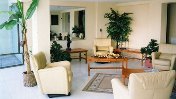 A spacious living room with a large plant, a sofa, a coffee table, and a chair. - Hotel Villas del Bosque (Aguascalientes)