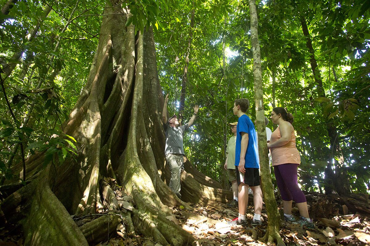 Excursionisme