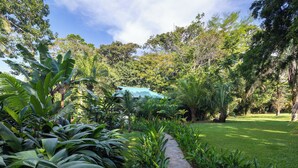 A lush garden with a stone pathway, dense foliage, and a building with a green roof.