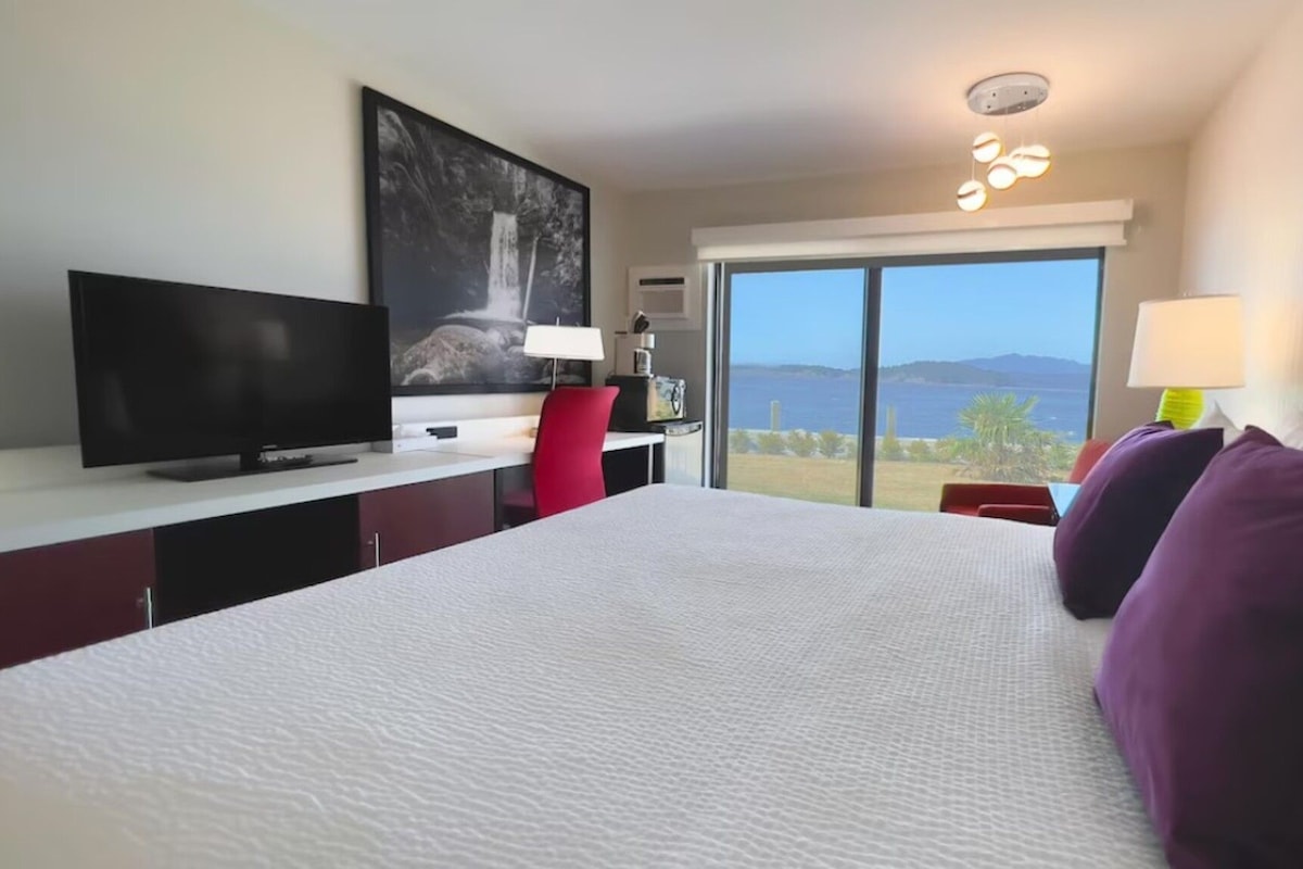 Habitación de hotel con cama, televisor, escritorio con silla, ventana grande con vistas y lámpara de techo.