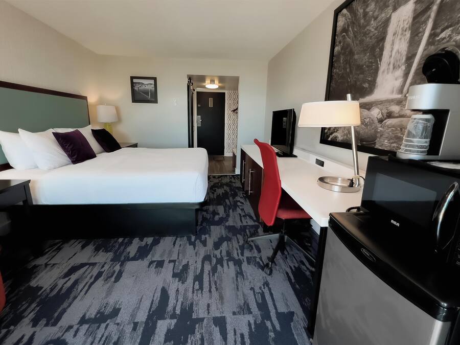 A hotel room with a bed, desk, chair, TV, microwave, and a water dispenser.