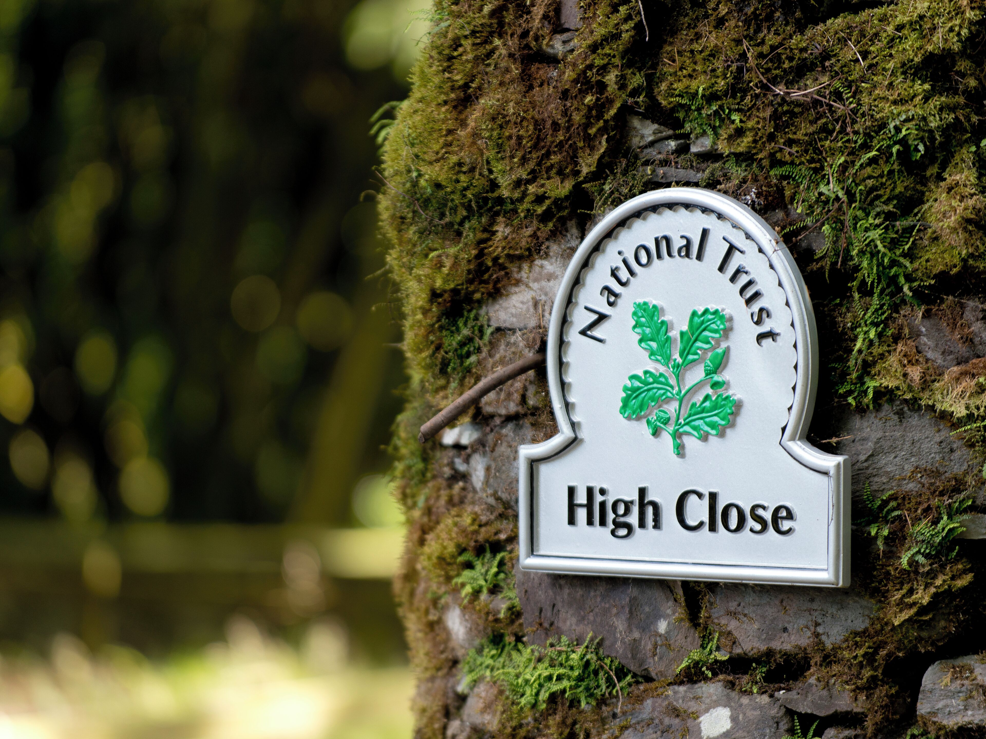 Un cartel con el texto 'National Trust High Close' sobre una pared de piedra cubierta de musgo.