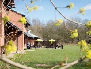 Garden - YHA National Forest - Hostel (Swadlincote)