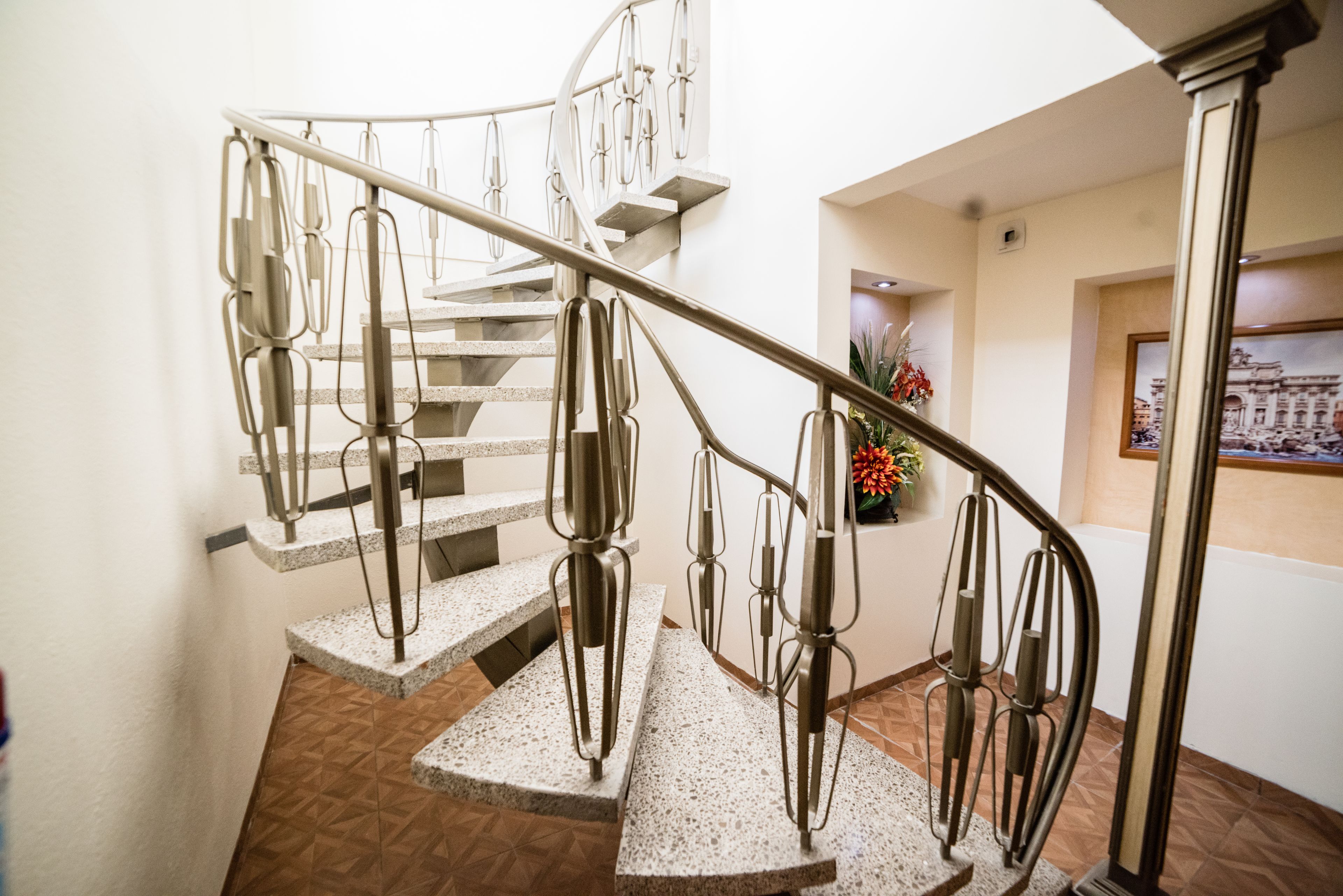 Foto - Hotel Elizabeth Central