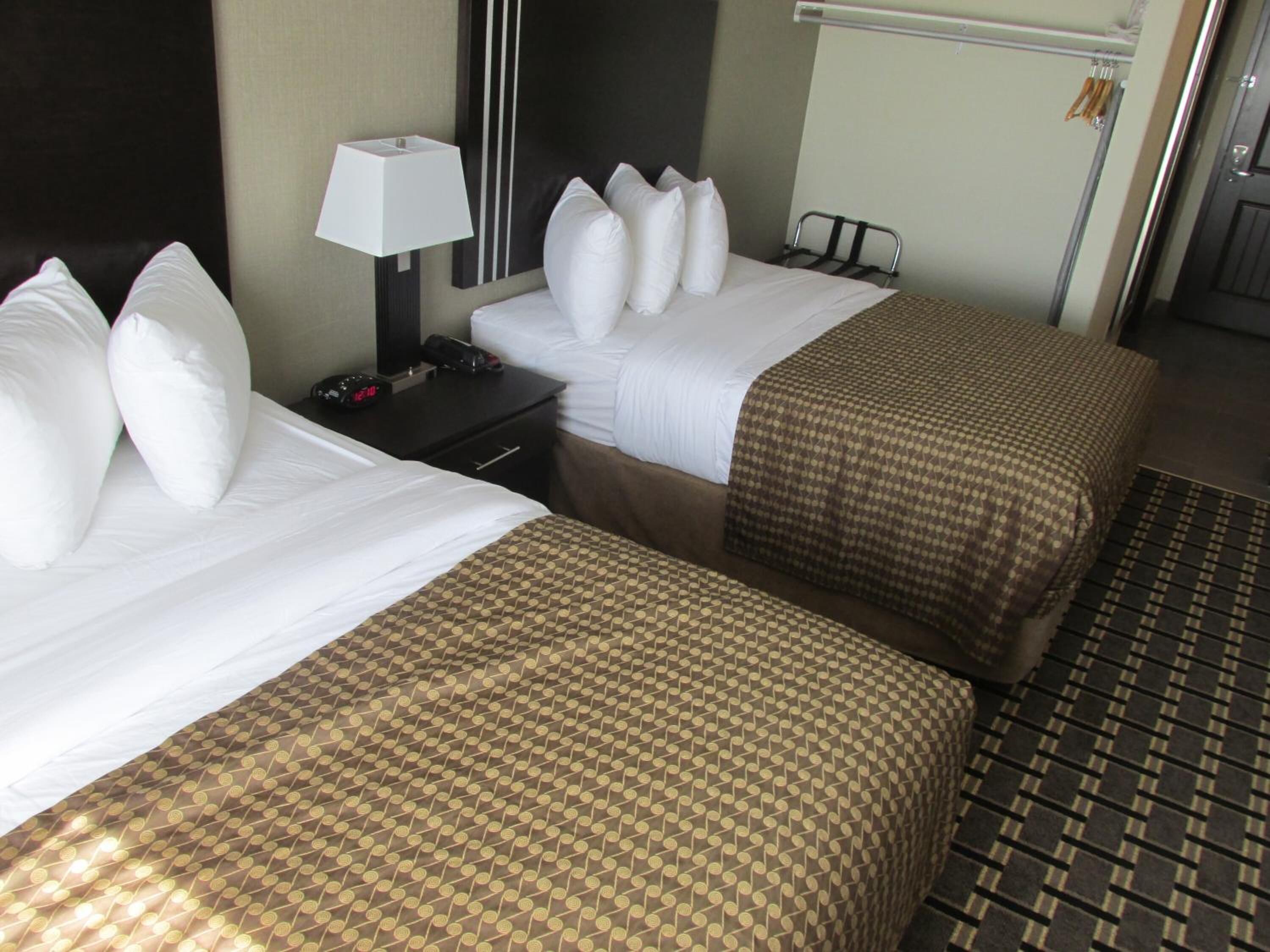 Une chambre d’hôtel avec deux lits, une table de chevet avec une lampe, une chaise et un tapis à motifs.