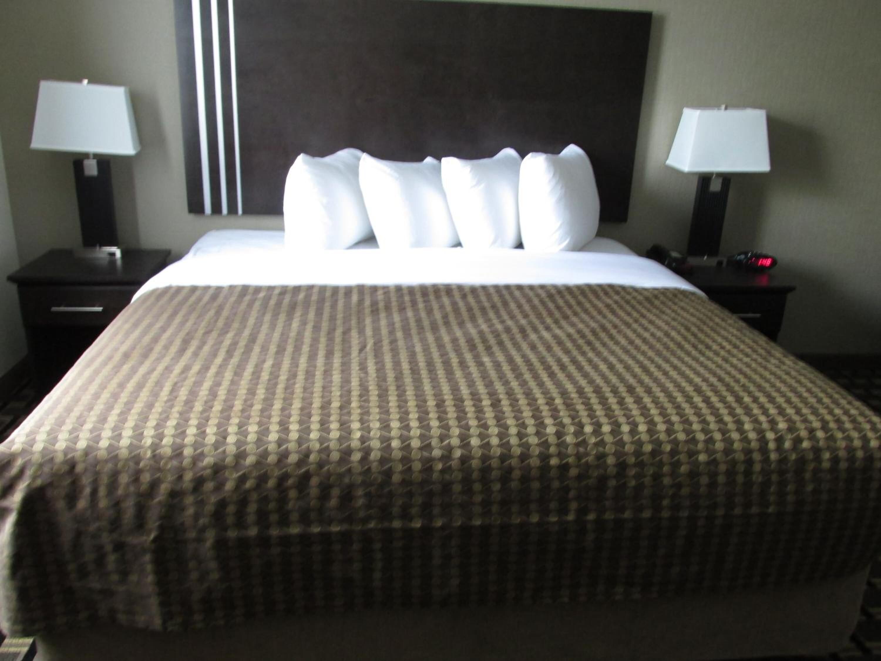 A hotel room with a large bed, two bedside tables with lamps, and a dark headboard.