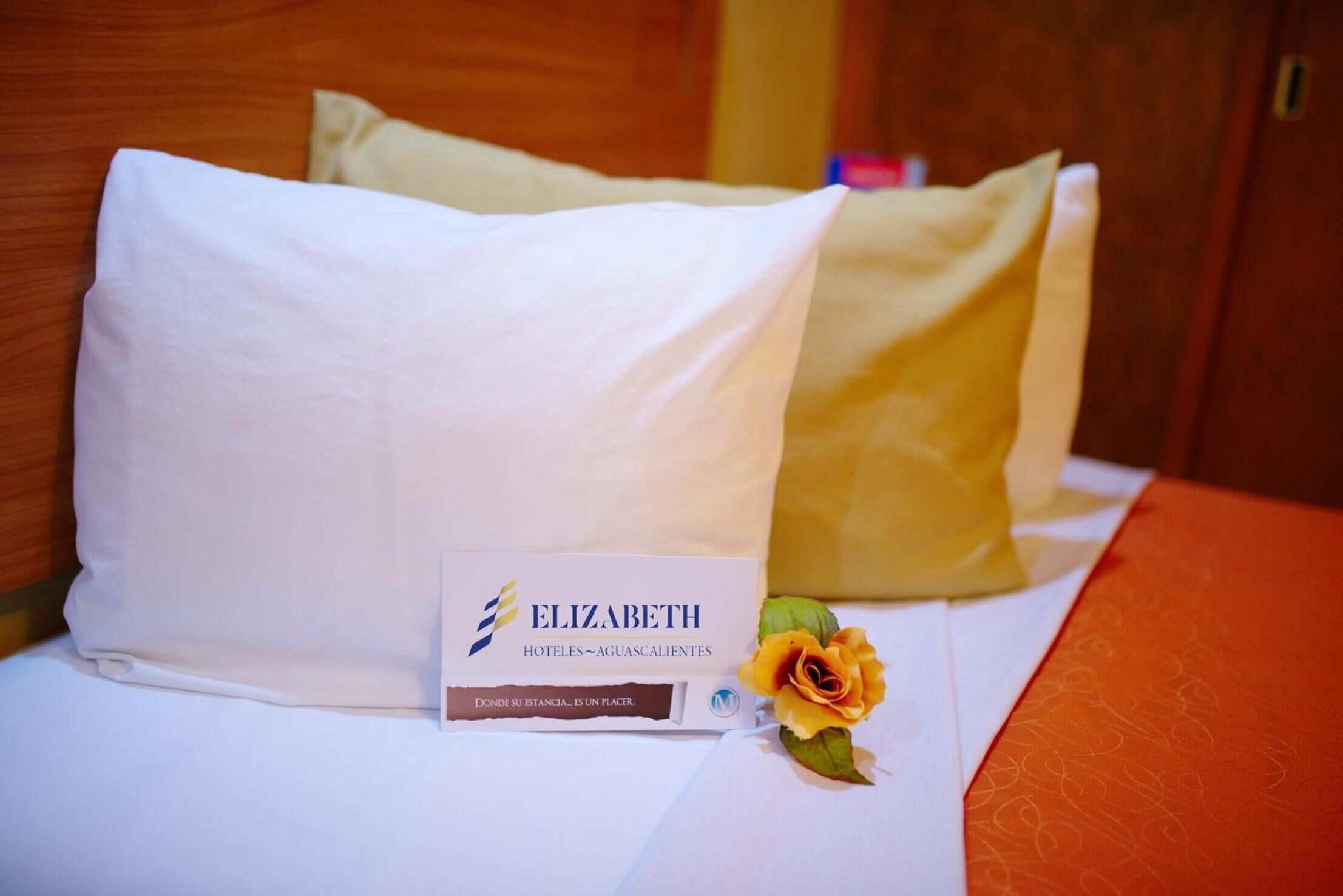 Foto - Hotel Elizabeth Ciudad Deportiva