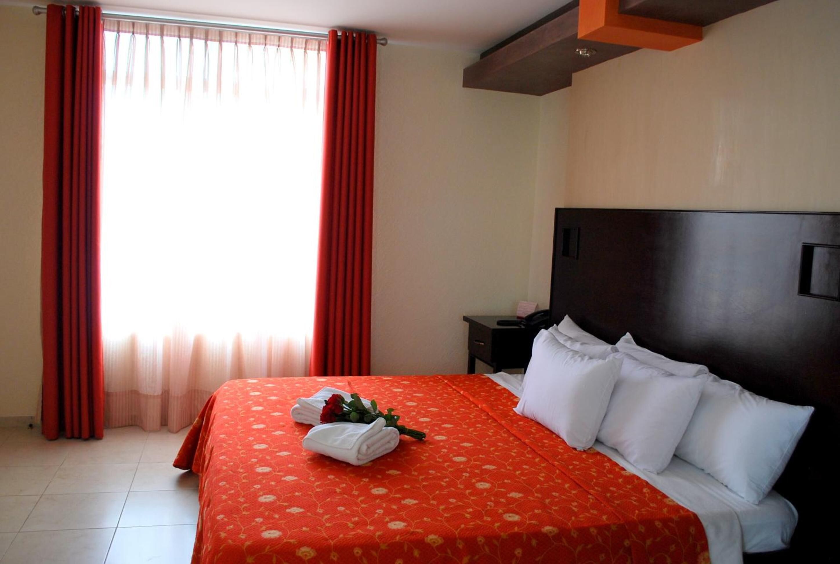 Foto - Hotel Elizabeth Ciudad Deportiva