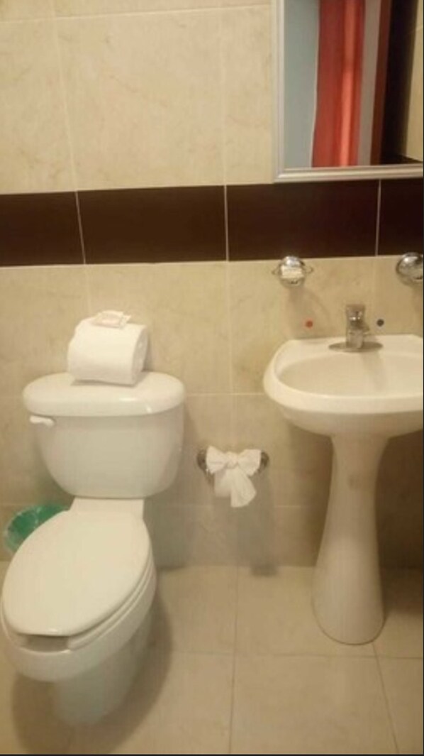 Un baño con inodoro y lavamanos.