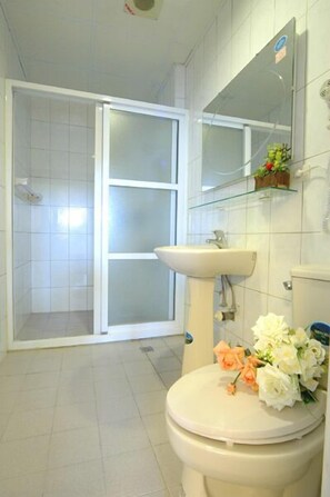 Shower, free toiletries, hair dryer, slippers