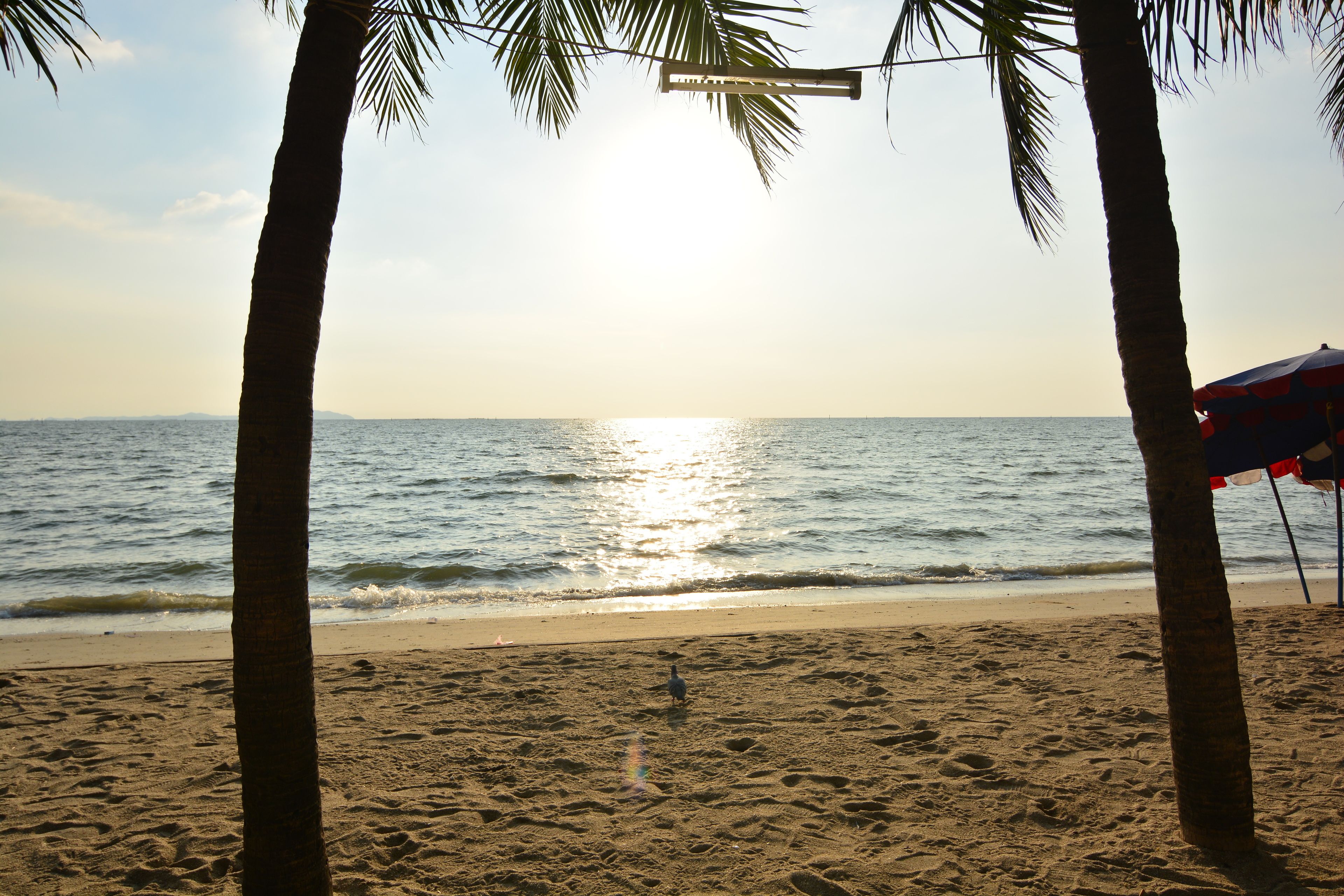 숙박 시설의 전망