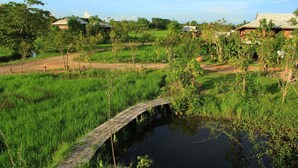 Vue depuis l’hébergement