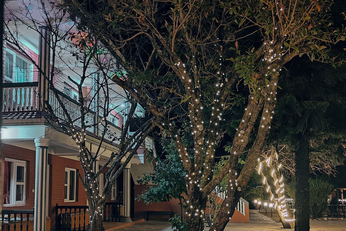 Pátio pavimentado com árvores decoradas com luzes de fada, rodeado por edifícios com varandas e janelas.