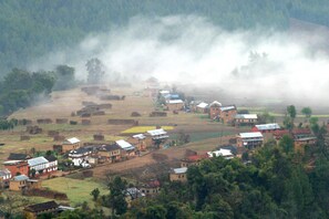 Un village rural où les maisons sont entourées de champs et d’arbres, et où règne une atmosphère brumeuse.