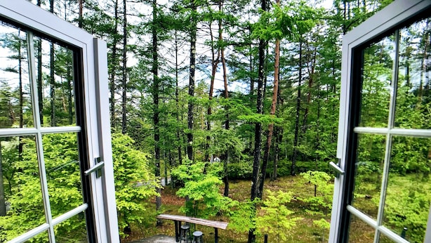 Uitzicht vanuit een kamer met grote ramen op een bebost gebied, met een houten terras en zitplaatsen buiten.
